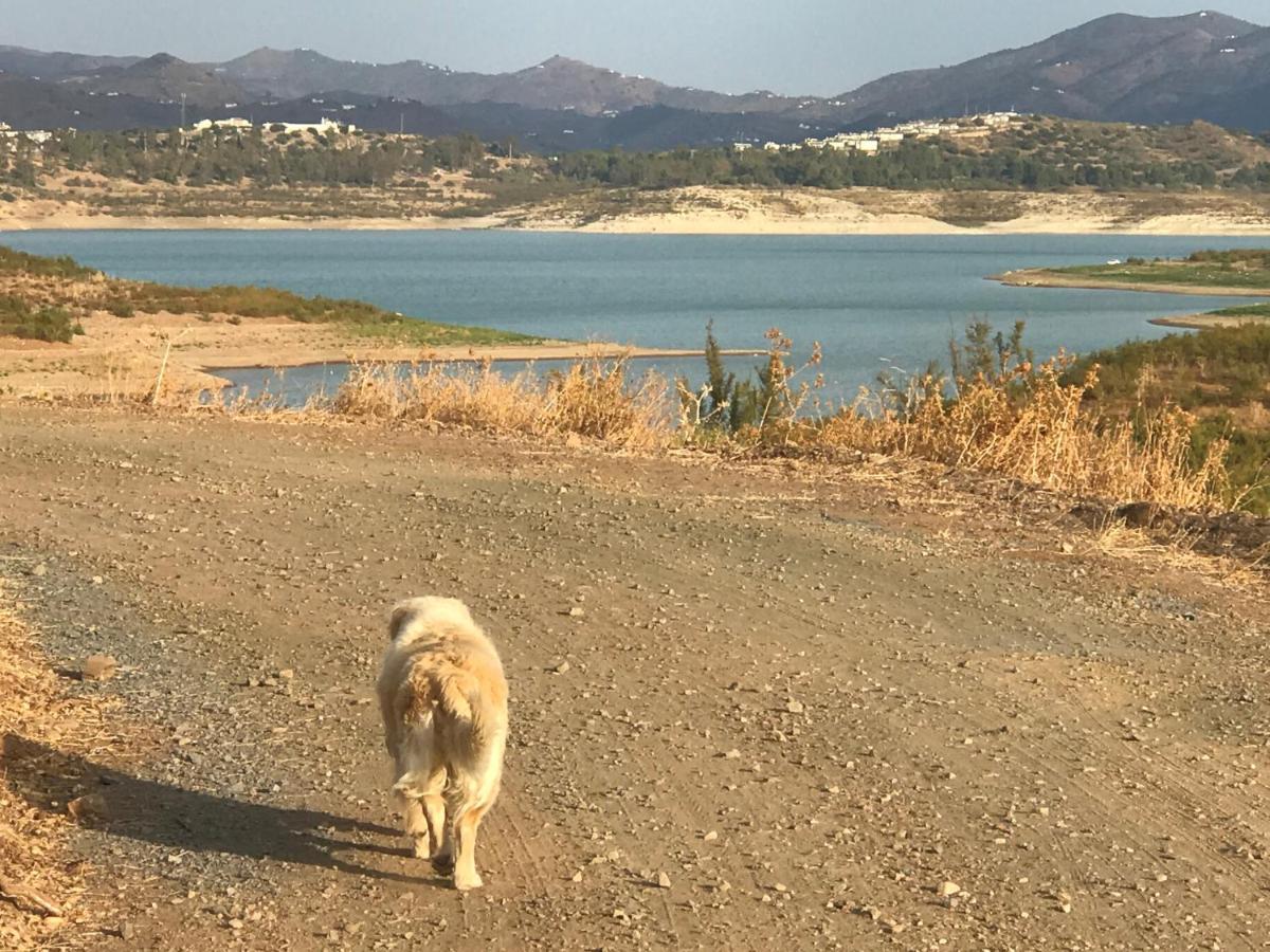 La Rustica En Vinuela, Piscina Privada Villa Kültér fotó