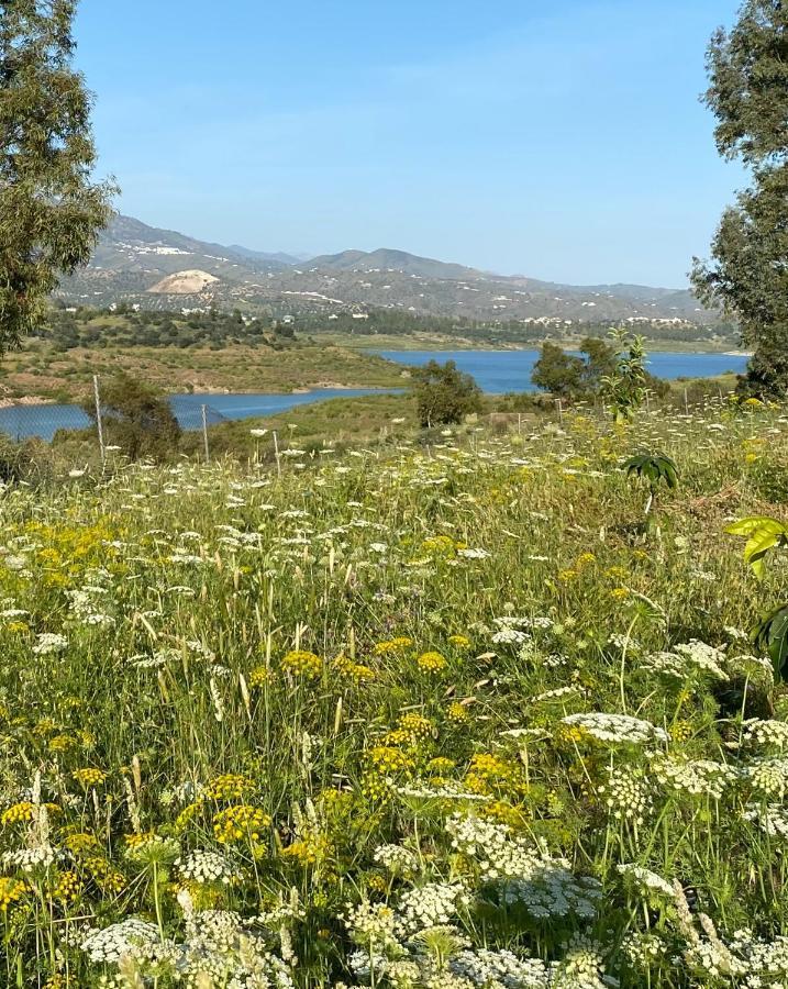 La Rustica En Vinuela, Piscina Privada Villa Kültér fotó